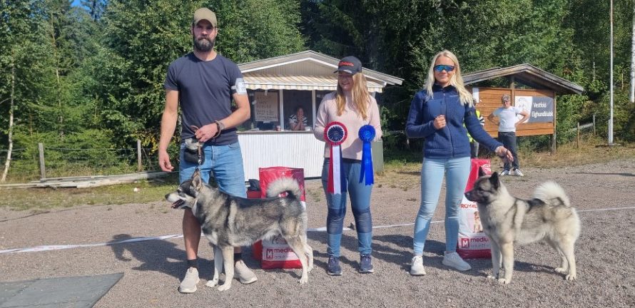 Høstutstilling 24.august 2025