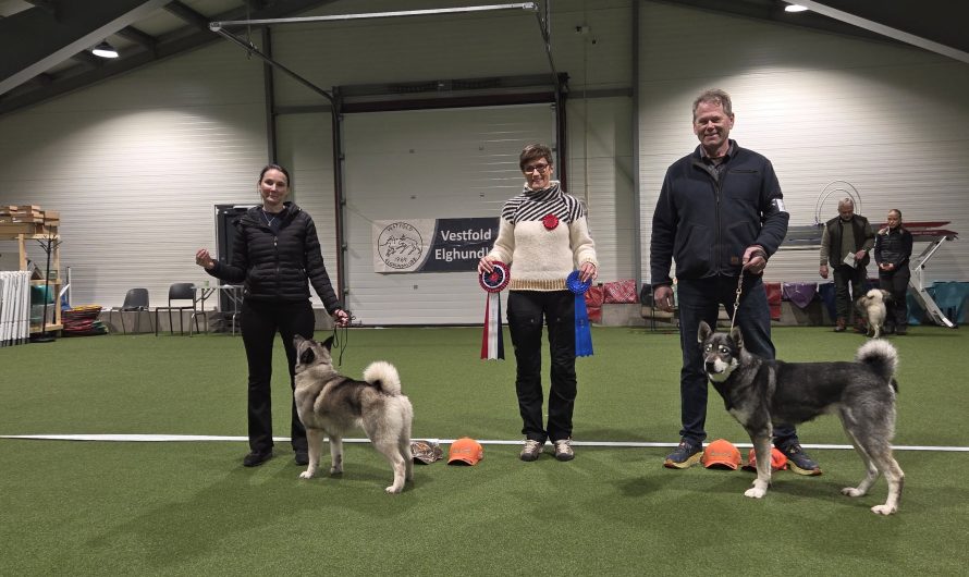 Utstilling på melsomvikveien 13 i 2026