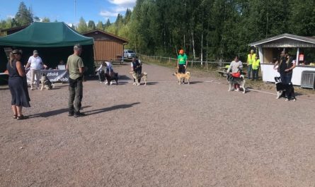 Alle hunder/eiere som vant sin rase
